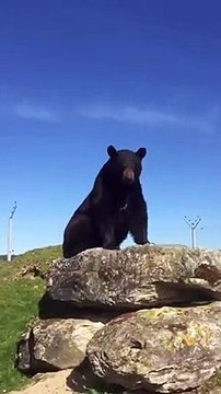 Rayane Bensetti, Instagram