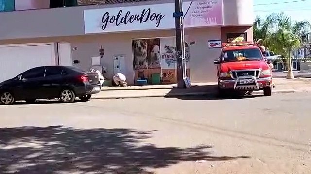 Defesa Civil retira enxame de abelhas e trazia risco a pedestres no Bairro Parque São Paulo