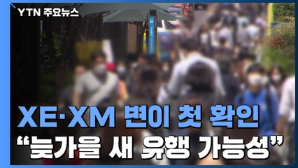 재조합 변이 XE·XM 국내 첫 확인..."늦가을 새 유행 가능" / YTN
