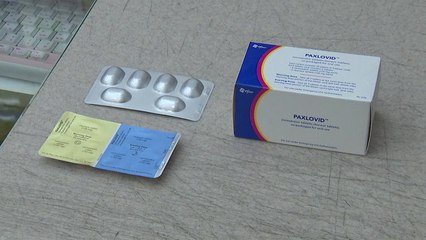 먹는 치료제 12세 이상 기저질환자로 확대 검토..."해외에서 부작용 없어" / YTN