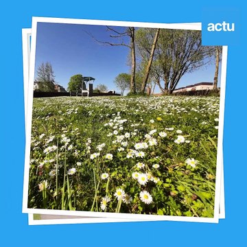 Parcs et jardins au Mans : l'Ile aux Planches