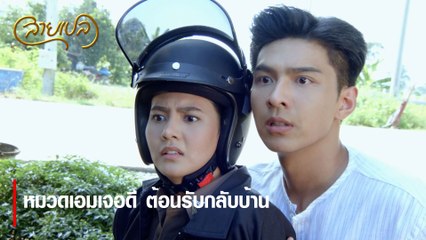 หมวดเอมเจอดี ต้อนรับกลับบ้าน | ตอกย้ำความสนุก สายเปล EP.5 | Ch7HD