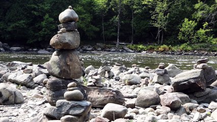 Relaxing Sound : Waterside Lake & Creek & Heavy Rain