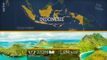 Le dessous des cartes. Indonésie
