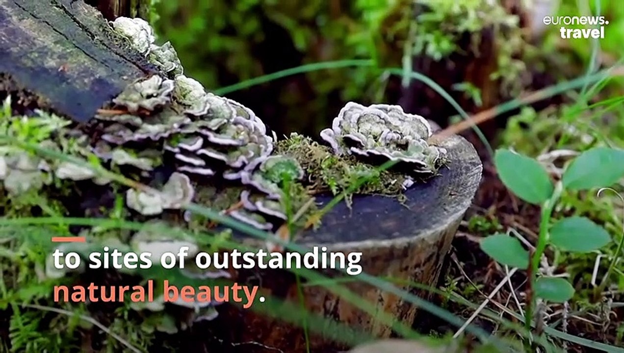 These eight UNESCO approved destinations balance conservation with tourism