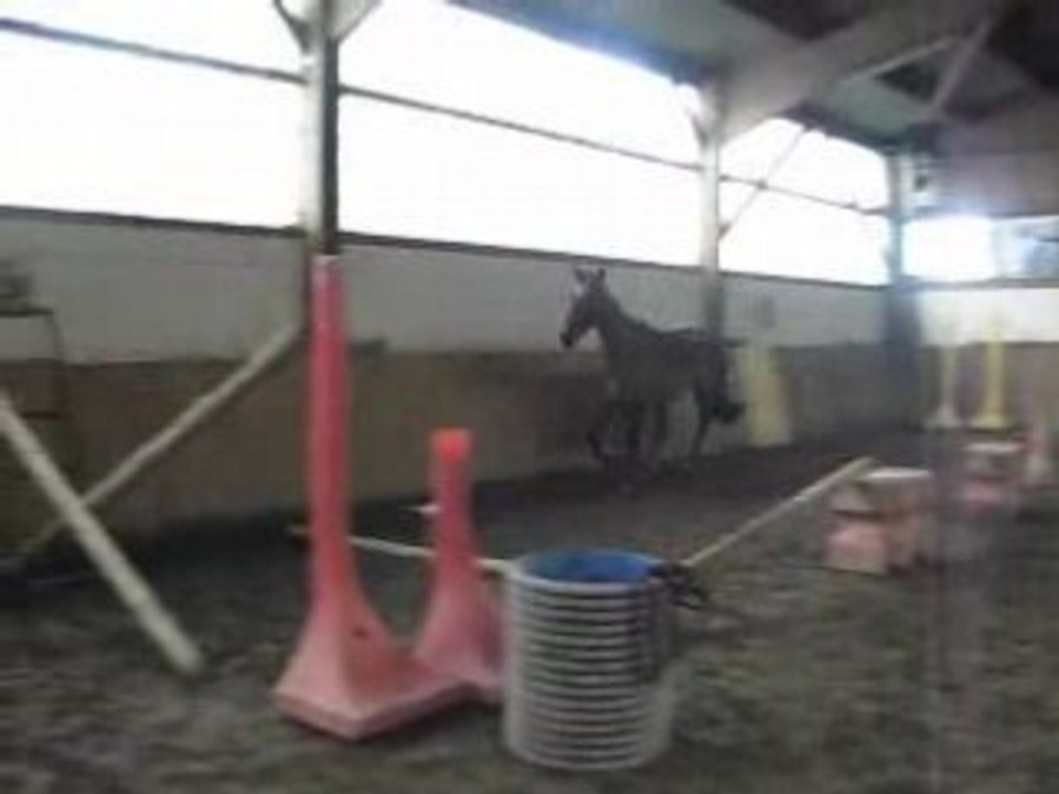 Cafouillage de queyras en saut