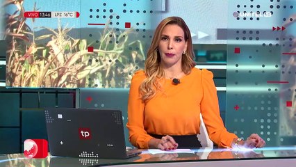 La sequía azota al municipio de Gutiérrez donde se han perdido 30 mil hectáreas de maíz  (2)