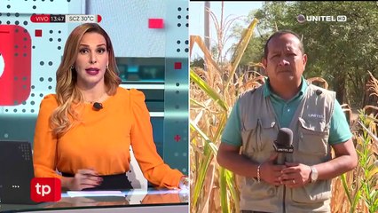 La sequía azota al municipio de Gutiérrez donde se han perdido 30 mil hectáreas de maíz  (3)