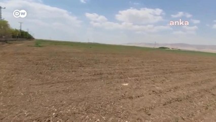 Güneydoğu'daki kuraklık gıda fiyatlarını daha da artırabilir