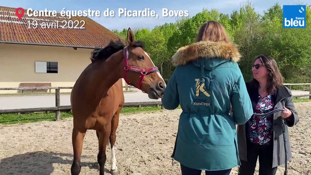 L'Université d'Amiens propose de l'équithérapie à ses étudiants pour préparer les examens