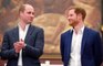 Prince Harry Reportedly Wants To Mend His and Prince William's Relationship With the Help of a Moderator