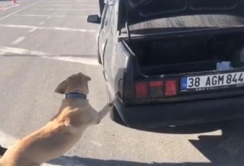 Son dakika haber! OTOMOBİLİN STOP LAMBASINA UYUŞTURUCU GİZLEYEN SÜRÜCÜYE GÖZALTI