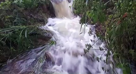 Açude do Junco sangra após dez anos em Grajneiro