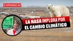 ¿NO MIRES ARRIBA? ARRESTAN a CIENTÍFICOS por PROTESTAR contra CAMBIO CLIMÁTICO | ÚLTIMAS NOTICIAS