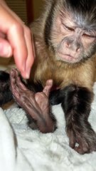 Tell me shes not rotten!