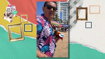 El gallo de vacaciones - Almohadazo Casero