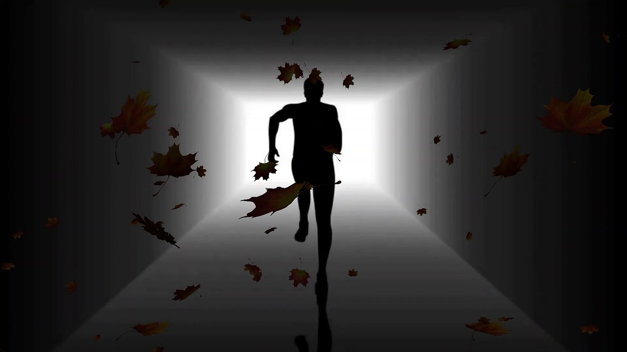 Do you have a male brain or do you have a female brain