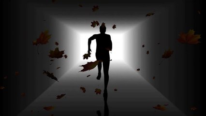 Do you have a male brain or do you have a female brain