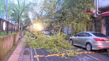 İSTANBUL-ESENLER'DE PARKTAKİ AĞAÇ, BİNA İLE 2 OTOMOBİLİN ÜZERİNE DEVRİLDİ