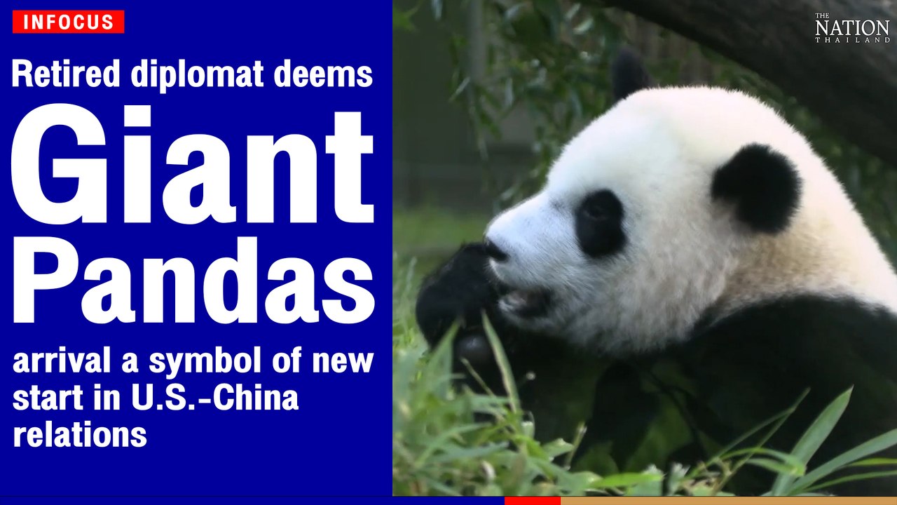 Retired  giant pandas' arrival a symbol of "new start in U.S.-China relations" | The Nation