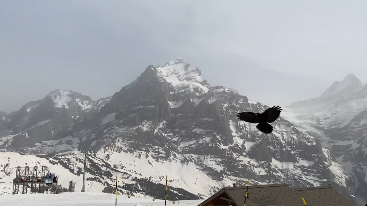 Grindelwald, Swiss