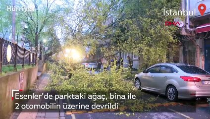 Esenler'de parktaki ağaç, bina ile 2 otomobilin üzerine devrildi