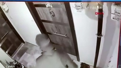 Hırsızlık için eve giremeyince ayakkabıları çaldı