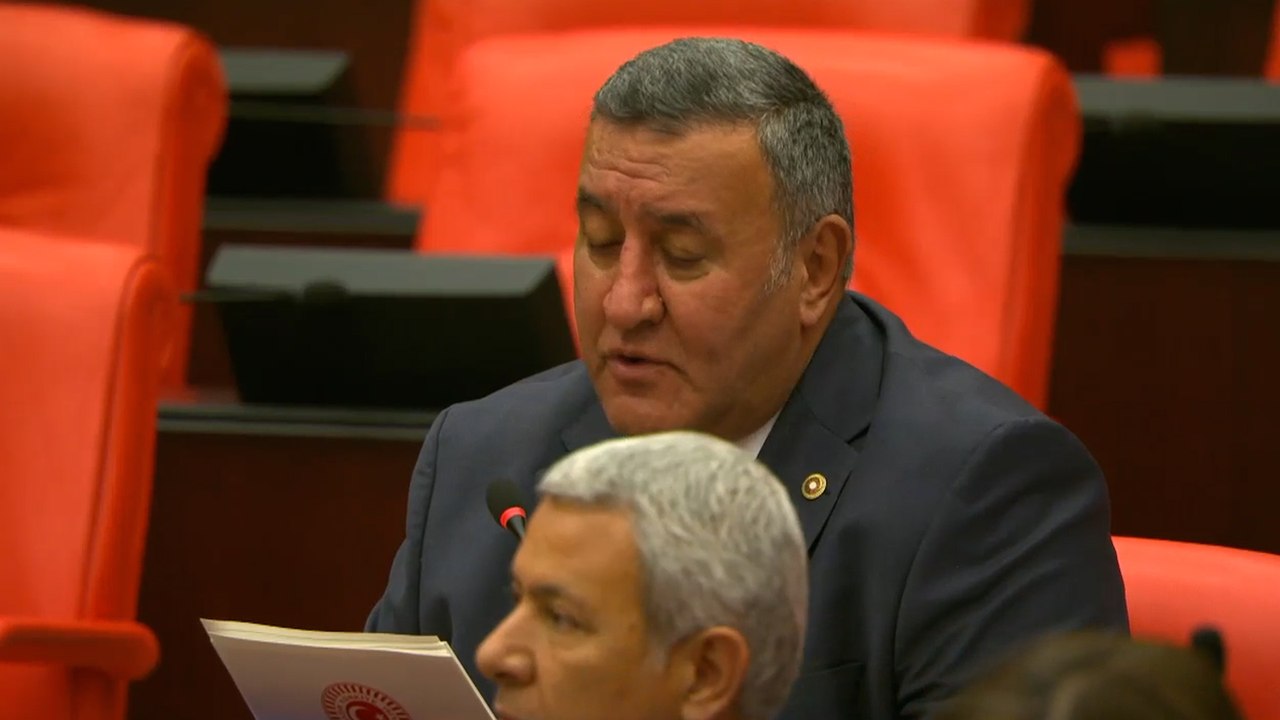 Gürer: Sudan ve Nijer için gösterdiğiniz çabayı GAP için gösterseniz tarımda arz açığı biterdi