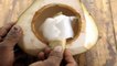 नारियल मलाई खाना चाहिए कि नहीं | नारियल मलाई खाने के फायदे | Nariyal Malai benefits | Boldsky