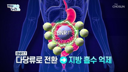 탄수화물 흡수를 억제해 다이어트에 도움 주는 【BNR17】 TV CHOSUN 20220420 방송