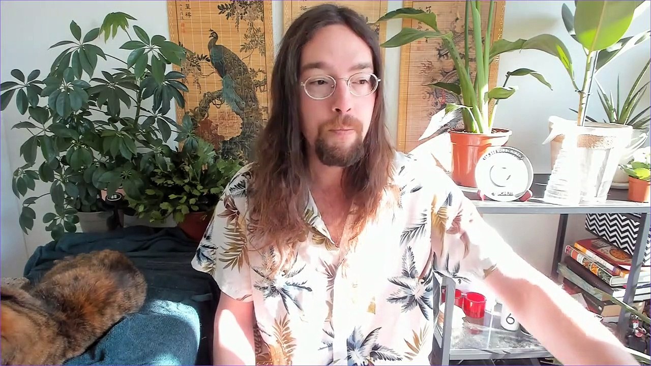 WAPO Extremist Taylor Lorenz Doxxes Libsoftiktok and Then Hides When Confronted