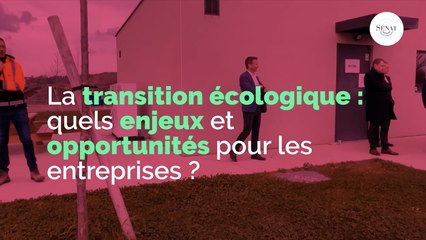 La transition écologique : quels enjeux et opportunités pour les entreprises ?