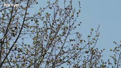 Bayraktar DİHA test uçuşlarına devam ediyor