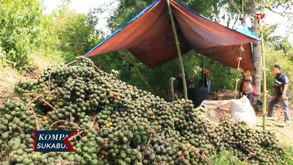 Pesanan Kolang Kaling Meningkat Di Bulan Ramadhan