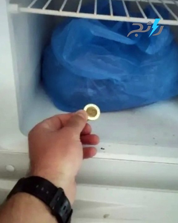قطعة معدنية الفريزر