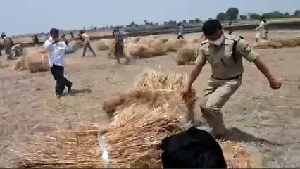 Abhishek Verma IPS : फसल को आग से बचाने खुद कूद पड़े एसपी अभिषेक वर्मा, देखिए VIDEO