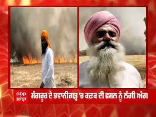 Breaking : ਸੰਗਰੂਰ ਦੇ ਭਵਾਨੀਗੜ੍ਹ 'ਚ ਕਣਕ ਨੂੰ ਲੱਗੀ ਅੱਗ, ਮੌਜੂਦਾ ਵਿਧਾਇਕ ਨੇ ਮੌਕੇ 'ਤੇ ਪਹੁੰਚ ਕੇ ਲਿਆ ਜਾਇਜ਼ਾ