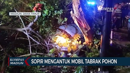 Sopir Mengantuk Mobil Tabrak Pohon