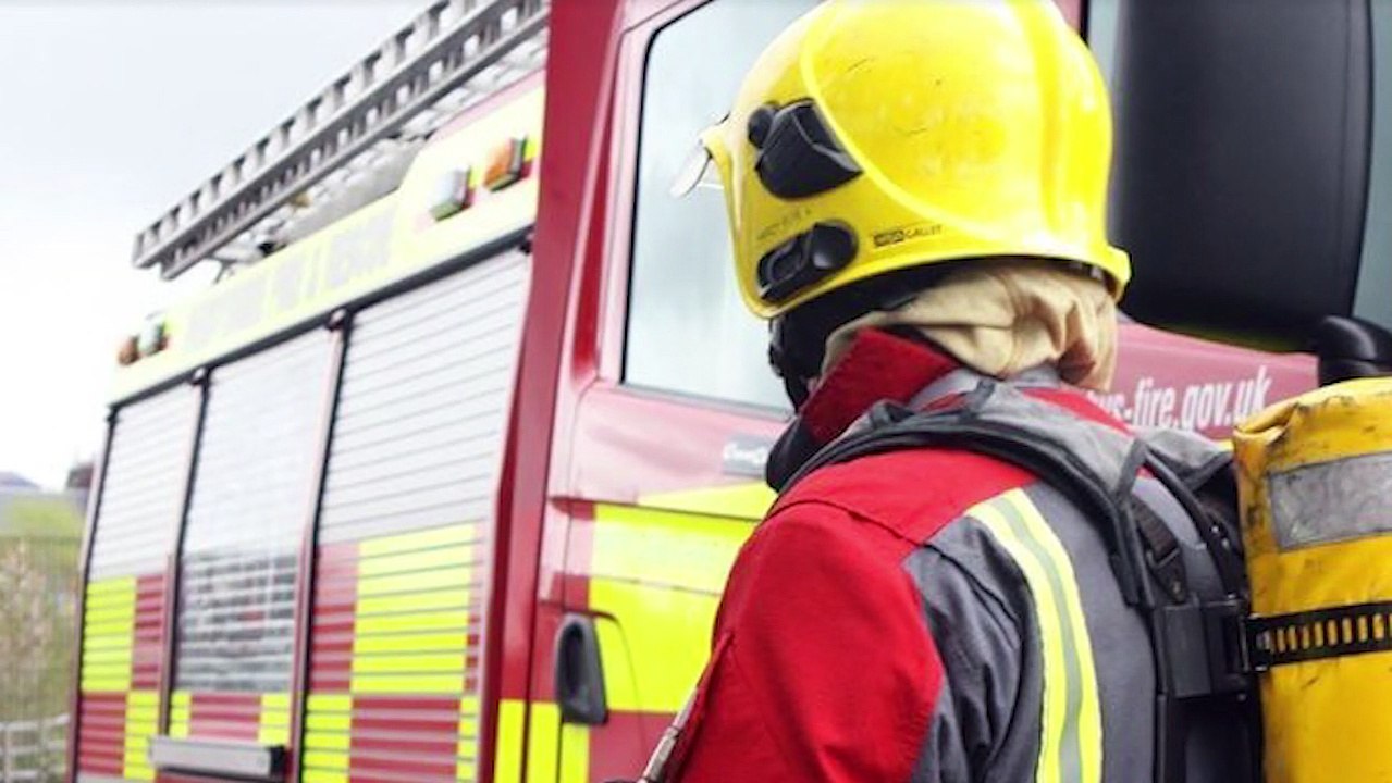 Wigan Post news update: Wigan dogs kidnapped and held to ransom under threat of death