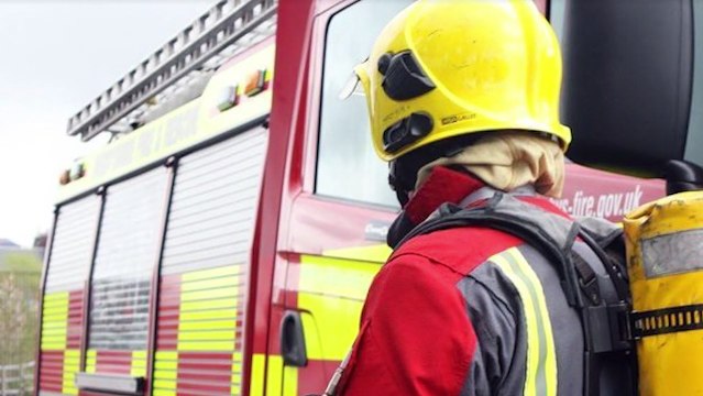 Wigan Post news update: Wigan dogs kidnapped and held to ransom under threat of death