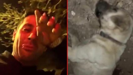 Köpekleriyle gezen şahsa muhtardan odunlu saldırı! Kavga sonrası yaşananlar ise çok vahim