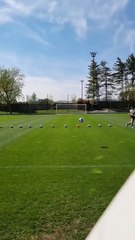 Ibrahimovic