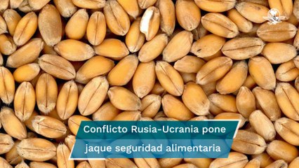 Hambre, por la lucha de titanes agrícolas