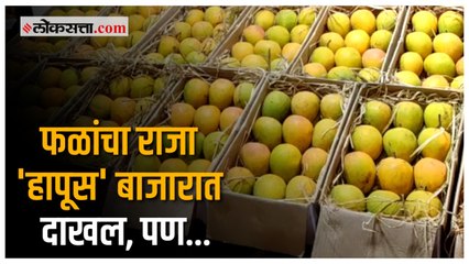 हापूस बाजारात दाखल;आवक कमी असल्याने भाव वाढले