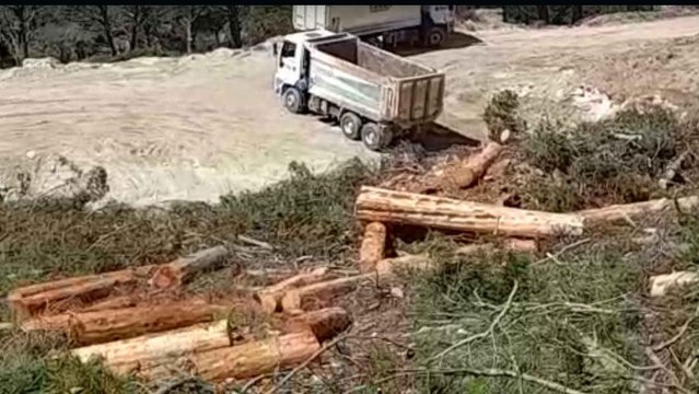 ‘AKP’li meclis üyesinin şirketi dinamit patlatıyor, ağaç kesiyor’