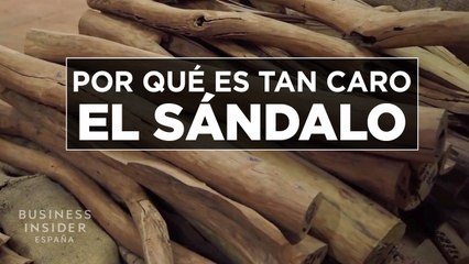 Por qué es tan caro el SÁNDALO, una especie vulnerable en India