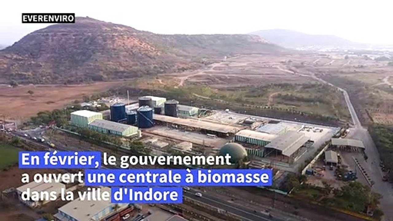 L'Inde mise sur la bouse de vache, source d'énergie renouvelable prometteuse