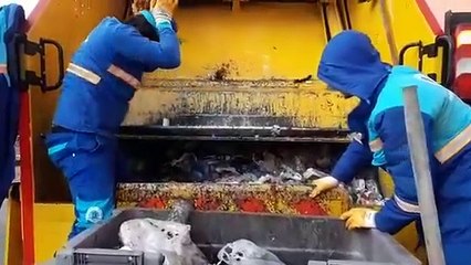 Tuzla Belediye Başkanı, çöpe atılan yavru kedilerin kurtarıldığı anları paylaştı