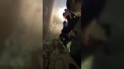Apartman boşluğunda mahsur kalan kedi yavrusu kurtarıldı