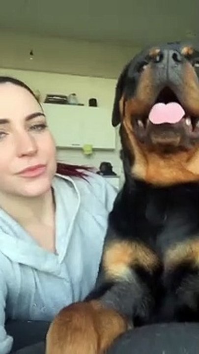 #shorts Mom, are you kidding me _ #gangrottie #rottweiler #trend #dogchallenge #fy #fyp #foryou #crazypeople #mommy #viral #rottiemom #cutedog #funnyvideos